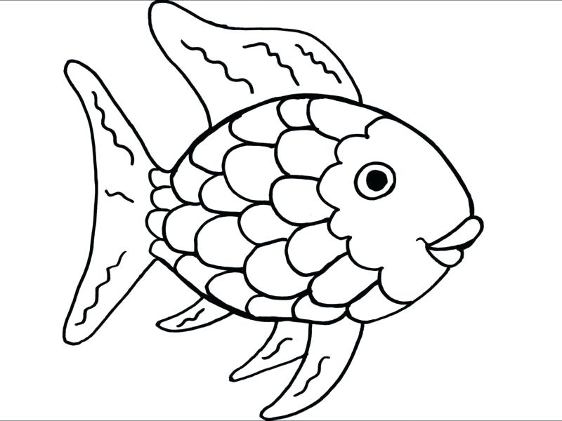How To Paint A Koi Fish: A Step By Step Guide and Video | Koi fish drawing,  Kids art projects, Art drawings for kids